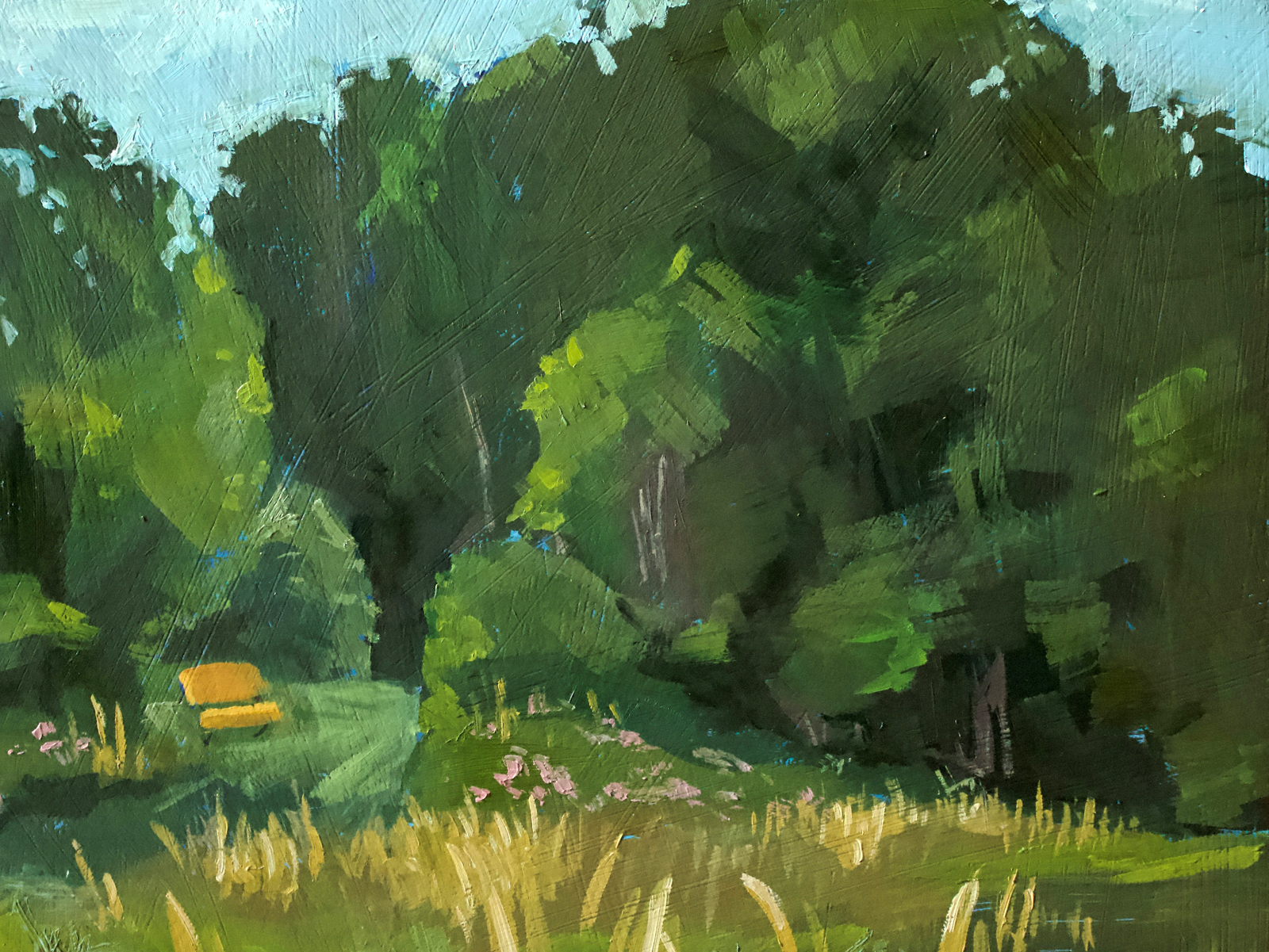 ADULT ACRYLIC SUMMER LANDSCAPE <i>Ages 14+ </i>