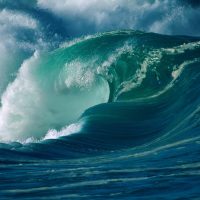 <strong>BEYOND THE REEF </strong> <i>Ages 6+</i>